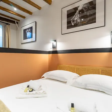 Cozy With Sauna - Le Marais