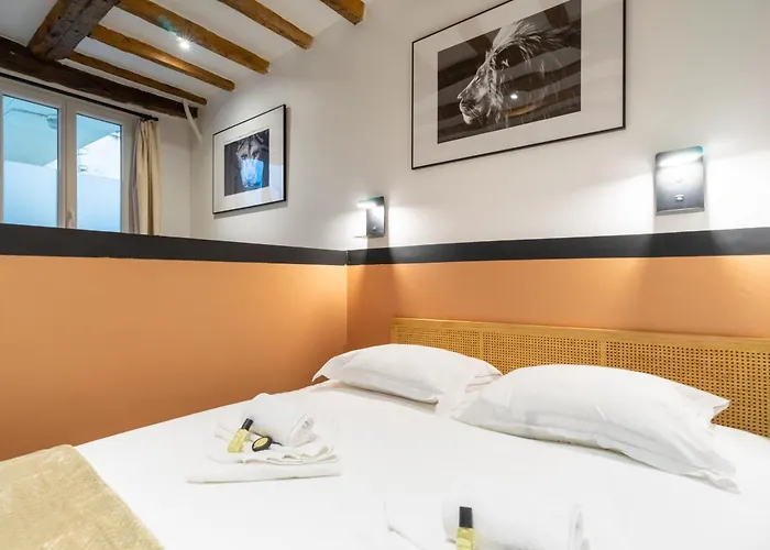 Cozy With Sauna - Le Marais
